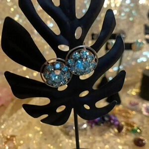 Blue Rhinestone Cluster Earrings